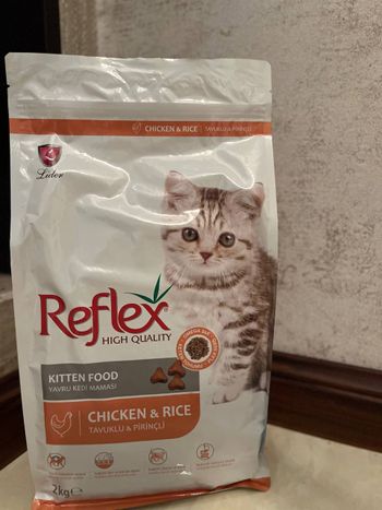 غذای خشک بچه گربه رفلکس مدل kitten وزن 2 کیلوگرم